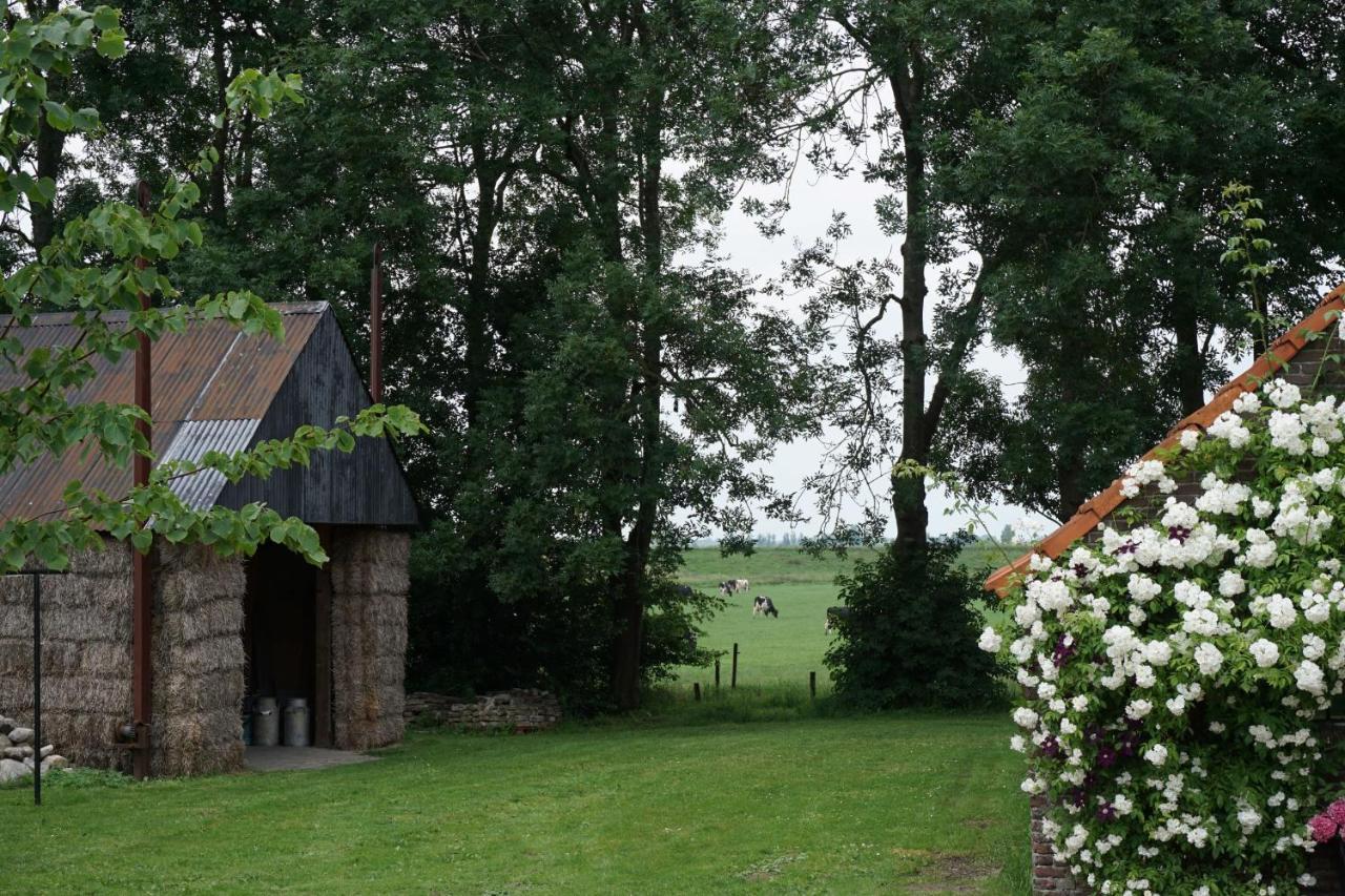 Bed and Breakfast Het Leeuwterveld Sint Jansklooster Экстерьер фото
